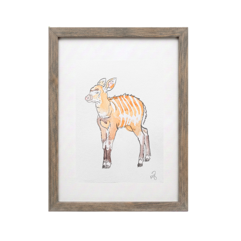 Wild 7 (Studio Select)