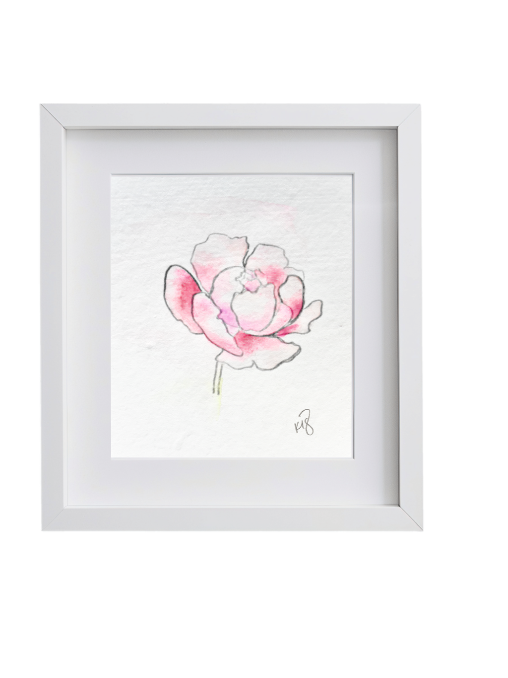 Peony 1