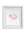 Peony 1