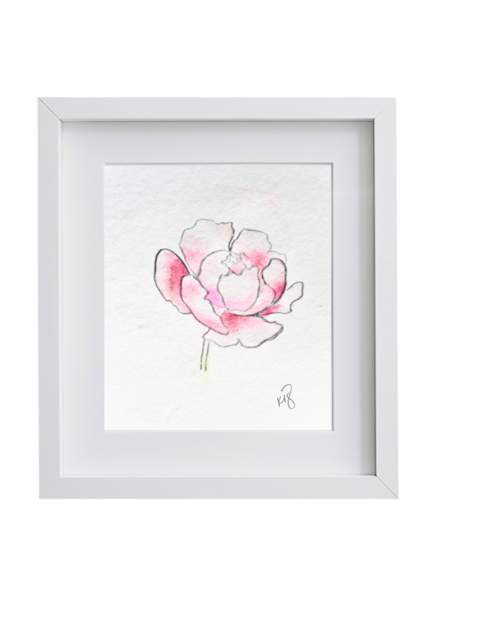 Peony 1