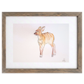 Wild 2 (Studio Select)
