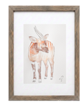 Wild 1 (Studio Select)