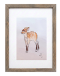 Wild 6 (Studio Select)