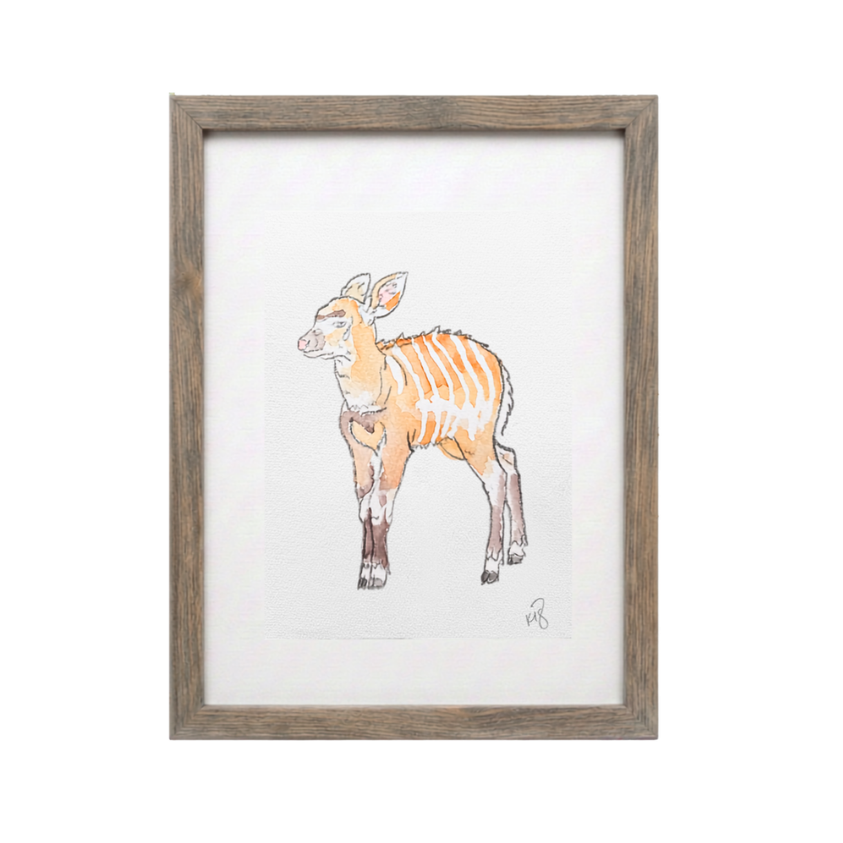 Wild 7 (Studio Select)