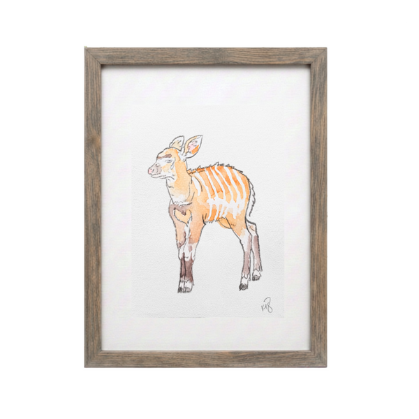 Wild 7 (Studio Select)